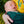 Lennylamb Ring Sling 
